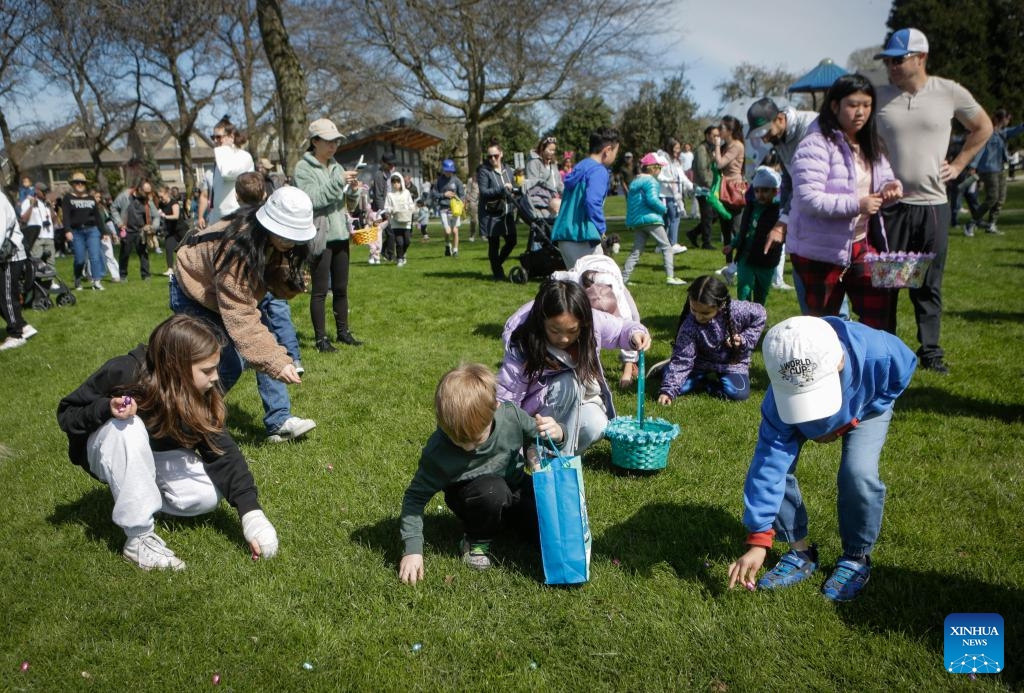 Children take part in an egg hunt during the annual Easter Parade at Ladner Village in Delta, British Columbia, Canada, on April 5, 2026. The annual Easter event, a community tradition of more than 60 years, featured a festive parade and family-oriented activities, drawing local residents to celebrate the holiday. (Photo by Liang Sen/Xinhua)