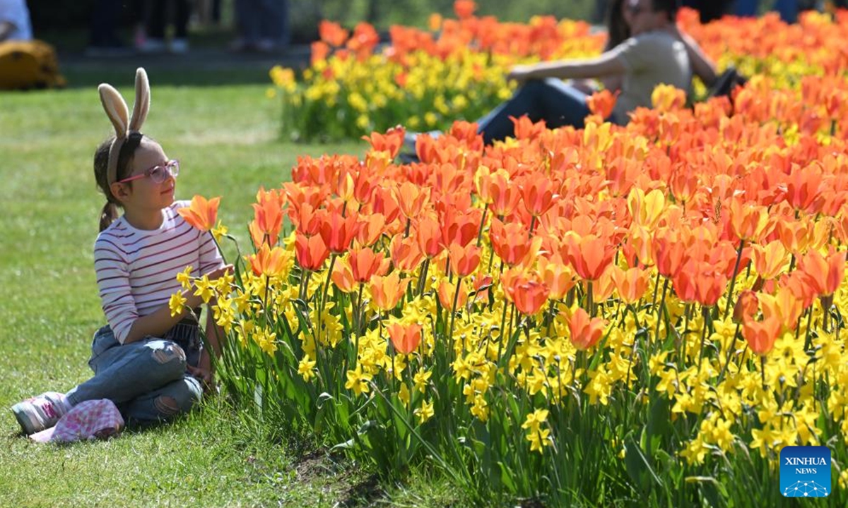 People enjoy blooming flowers at a park in Valeggio sul Mincio, Verona, Italy, April 4, 2026. (Photo by Alberto Lingria/Xinhua)