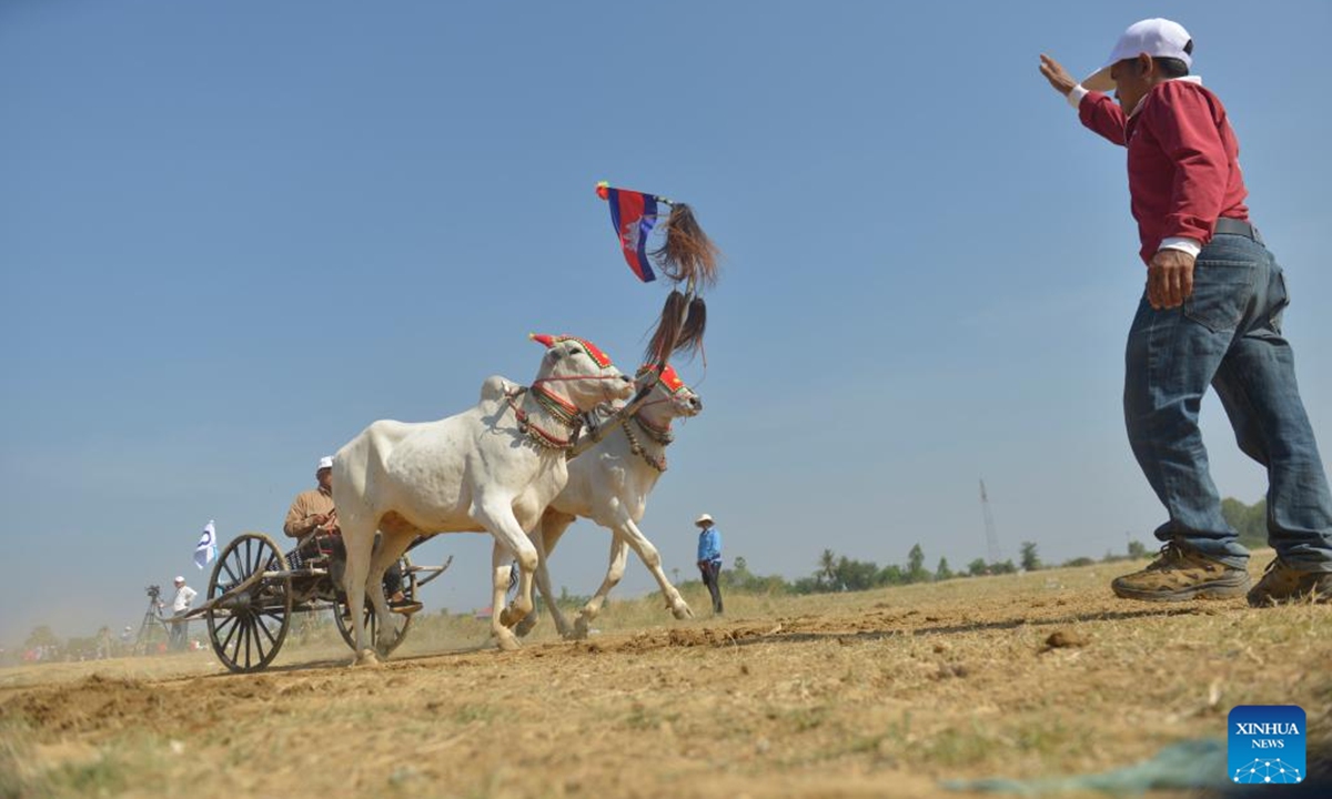 This photo taken on April 5, 2026 shows an ox-cart race in Kampong Speu province, Cambodia. Cambodian villagers on Sunday organized a centuries-old ox-cart race here to celebrate the upcoming Cambodian New Year, which will be observed from April 14 to 16. (Photo by Phearum/Xinhua)