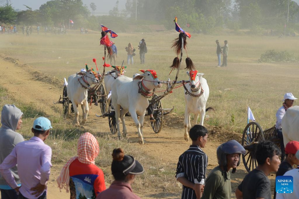 This photo taken on April 5, 2026 shows an ox-cart race in Kampong Speu province, Cambodia. Cambodian villagers on Sunday organized a centuries-old ox-cart race here to celebrate the upcoming Cambodian New Year, which will be observed from April 14 to 16. (Photo by Phearum/Xinhua)