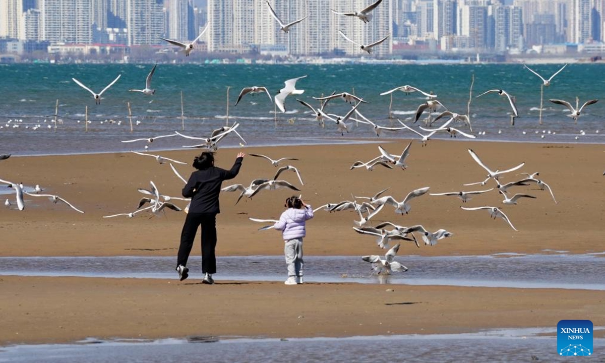 Tourists feed seagulls on the seashore in Beidaihe District of Qinhuangdao, north China's Hebei Province, April 7, 2026. (Xinhua/Yang Shiyao)