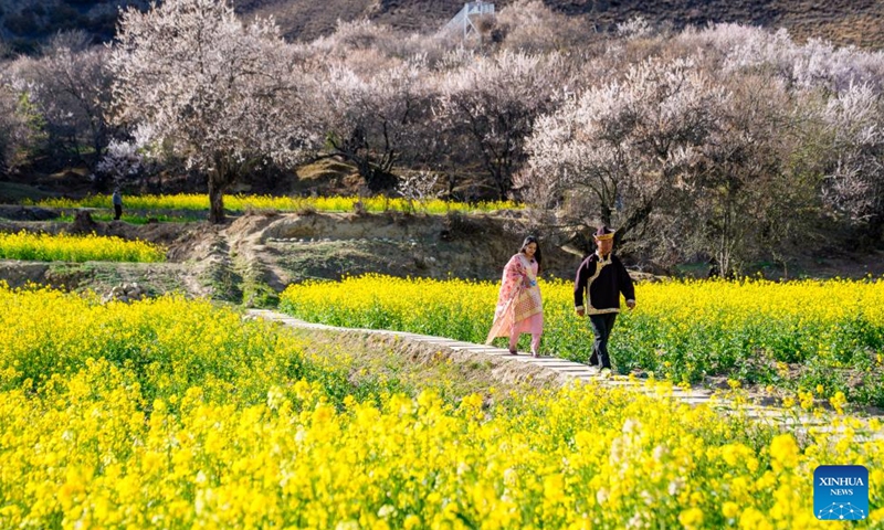 Tourists walk among blooming flowers in Duodang Village of Nyingchi City, southwest China's Xizang Autonomous Region, April 2, 2026.(Xinhua/Tenzin Nyida)