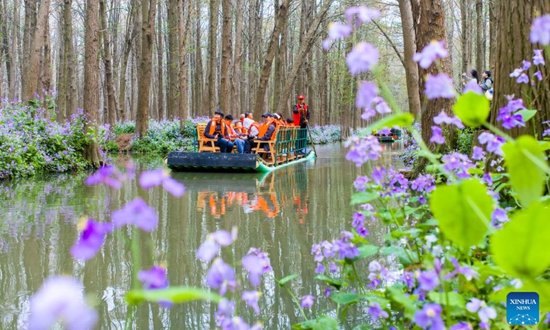 A drone photo taken on April 6, 2026 shows people taking a raft for sightseeing at Lixiahe national wetland park in Xinghua, east China's Jiangsu Province. (Photo by Zhou Shegen/Xinhua)