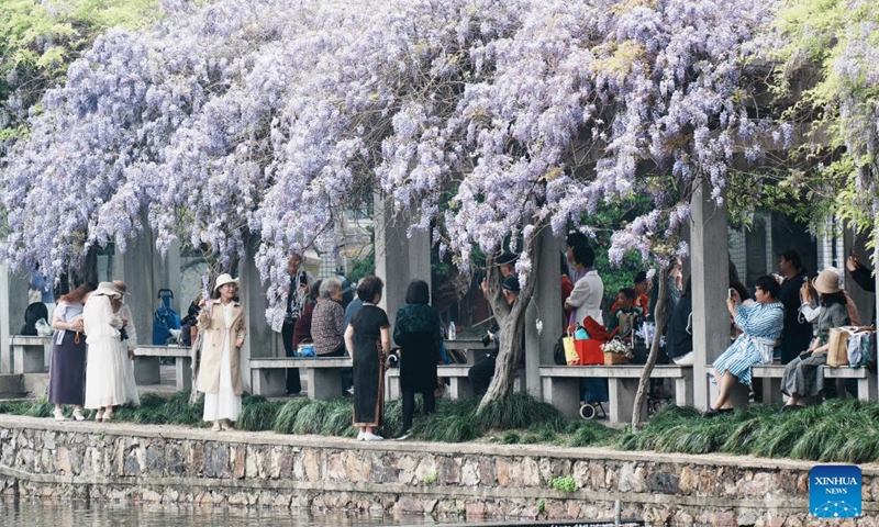 People enjoy flowers at the Huajiachi campus of Zhejiang University in Hangzhou, east China's Zhejiang Province, April 8, 2026. (Photo by Long Wei/Xinhua)