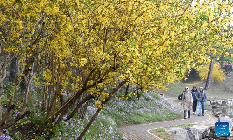 Tourists visit Yuanmingyuan Park in Beijing, capital of China, April 9, 2026. A spring tourism festival featuring immersive cultural and tourism experience kicked off at Yuanmingyuan Park on Thursday. (Xinhua/Luo Xiaoguang)