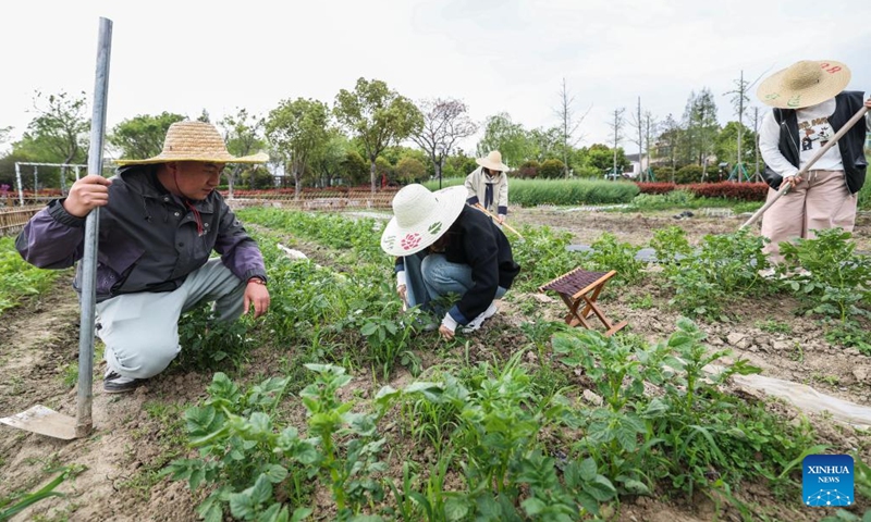 Zhu Jun (1st L), head of a shared vegetable garden, leads visitors to experience agricultural work in a field in Fengqiao Town, Nanhu District of Jiaxing City, east China's Zhejiang Province, April 8, 2026.(Xinhua/Xu Yu)