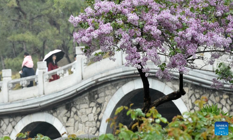 Tourists visit Yuanmingyuan Park in Beijing, capital of China, April 9, 2026. A spring tourism festival featuring immersive cultural and tourism experience kicked off at Yuanmingyuan Park on Thursday. (Xinhua/Luo Xiaoguang)