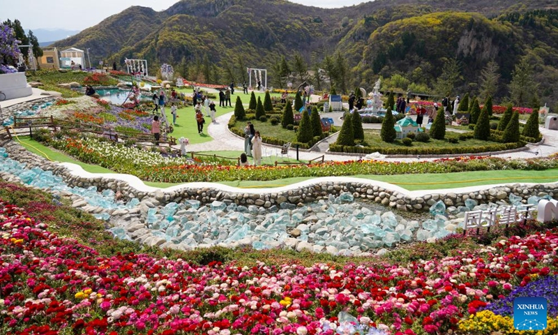 People visit the Hongye Shiyan scenic spot in Zibo City, east China's Shandong Province, April 8, 2026. The scenic spot has increased the income of nearby villagers by creating an immersive scene of flowering sightseeing. (Xinhua/Zhu Zheng)

