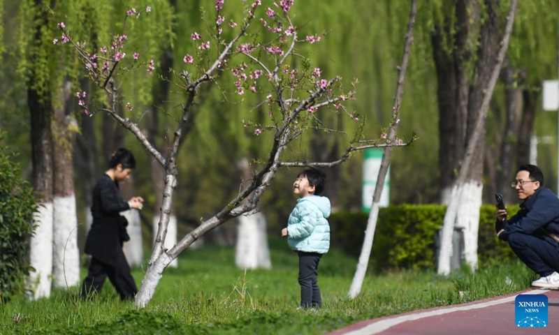 People enjoy the spring scenery at a wetland park in Xi'an, northwest China's Shaanxi Province, March 27, 2026. (Xinhua/Shao Rui)

