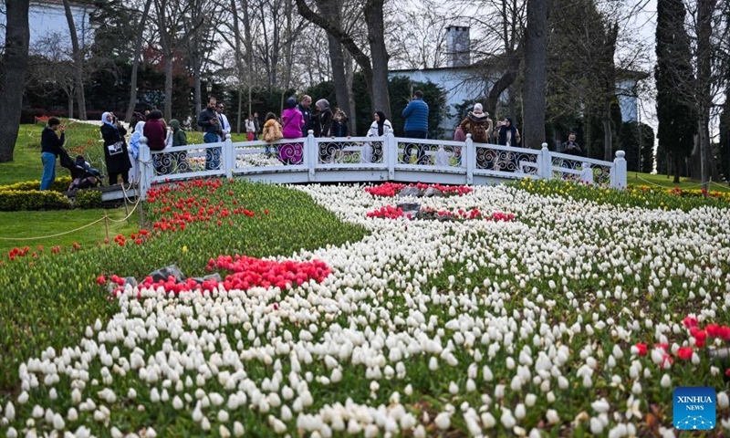 Tourists enjoy blooming tulips at Emirgan Park in Istanbul, Türkiye, on April 11, 2026. The annual Tulip Festival is held here in April. (Xinhua/Liu Lei)
