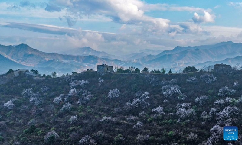 An aerial drone photo taken on April 10, 2026 shows a section of ancient Great Wall after rain in Qian'an City of north China's Hebei Province. (Photo by Liu Mancang/Xinhua)