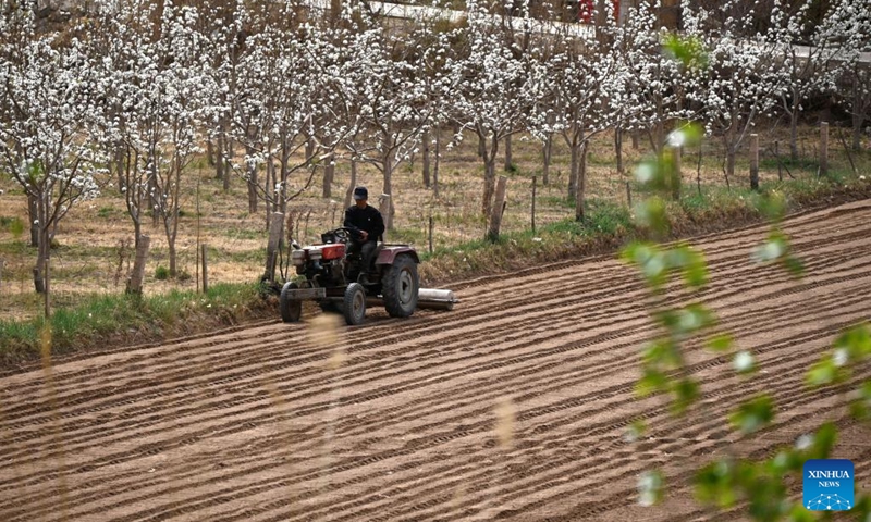 A farmer operates an agricultural machinery in a field in Mogao Town, Dunhuang City, northwest China's Gansu Province, April 11, 2026. (Photo by Zhang Xiaoliang/Xinhua)