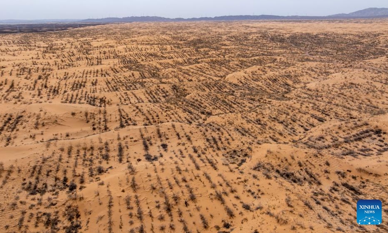 An aerial drone photo taken on April 10, 2026 shows straw checkerboard barriers in the Tengger Desert, northwest China's Ningxia Hui Autonomous Region. Workers in Zhongwei City are upgrading desert barriers in the Tengger Desert by laying new straw checkerboard barriers to improve desert control efficiency. (Xinhua/Yang Zhisen)