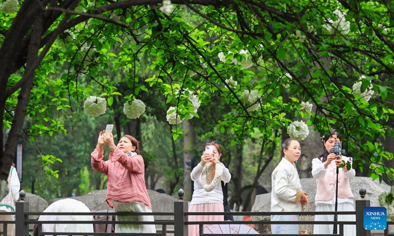 Tourists take photos of flowers of a blossoming tree at Wuchaomen Park in Nanjing, east China's Jiangsu Province, April 11, 2026. (Photo by Su Yang/Xinhua)