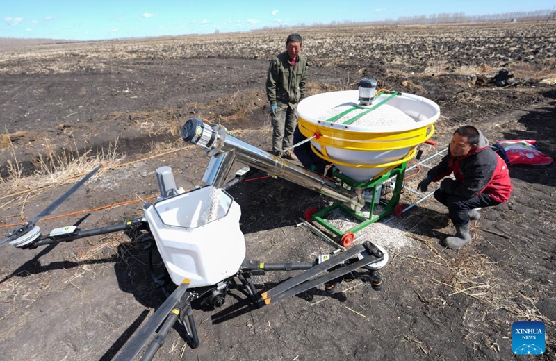 Farmers put paddy fertilizer into an agricultural drone in a field of Youyi Farm Co., Ltd. under Beidahuang Group in Shuangyashan, northeast China's Heilongjiang Province, April 9, 2026. Heilongjiang, a major grain-producing area in China, has entered the spring ploughing season for rice. (Xinhua/Wang Song)
