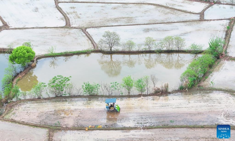 An aerial drone photo taken on April 11, 2026 shows farmers transplanting early rice seedlings in Jinqiao Town, Qidong County of Hengyang City, central China's Hunan Province. (Photo by Cao Zhengping/Xinhua)
