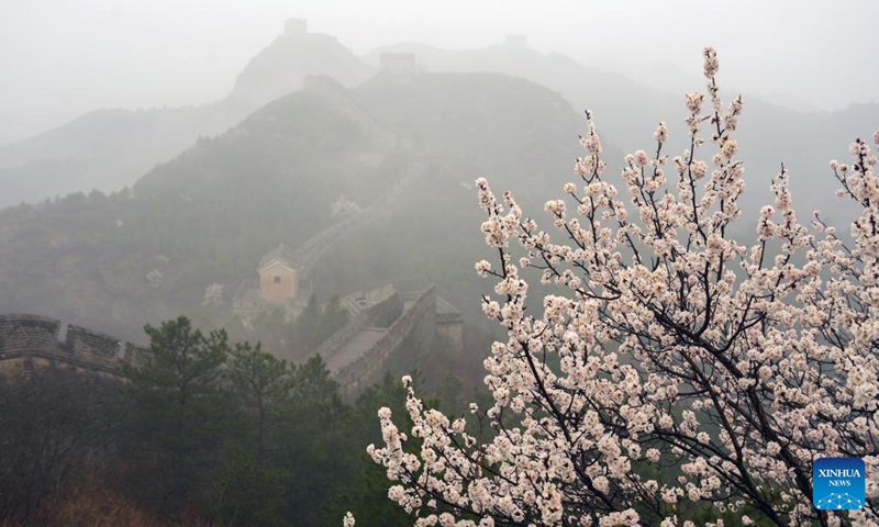This photo taken on April 9, 2026 shows a view of Jinshanling section of the Great Wall after rain in Luanping County, Chengde City of north China's Hebei Province. (Photo by Zhou Wanping/Xinhua)
