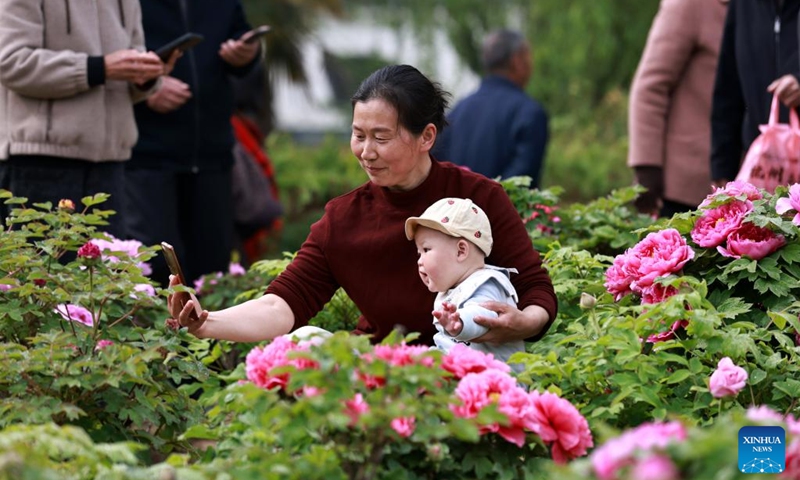 A woman, holding a baby in her arm, takes photos of peony flowers at a peony garden in Huai'an, east China's Jiangsu Province, April 11, 2026. (Photo by Chen Kai/Xinhua)