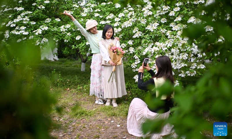 Tourists pose for photos among flowers of blossoming trees at Tinglin Garden in Kunshan, east China's Jiangsu Province, April 11, 2026. (Photo by Wang Xuzhong/Xinhua)