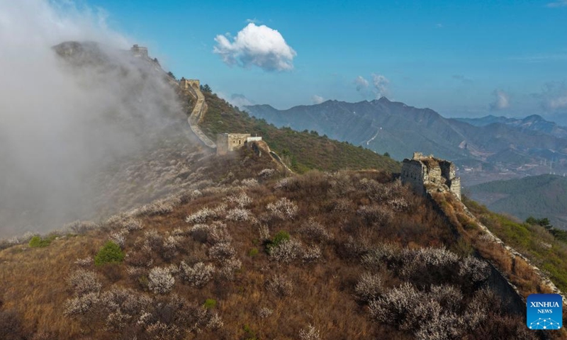 An aerial drone photo taken on April 10, 2026 shows a section of ancient Great Wall after rain in Qian'an City of north China's Hebei Province. (Photo by Liu Mancang/Xinhua)