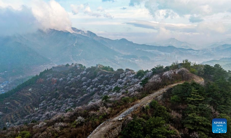 An aerial drone photo taken on April 10, 2026 shows a section of ancient Great Wall after rain in Qian'an City of north China's Hebei Province. (Photo by Liu Mancang/Xinhua)