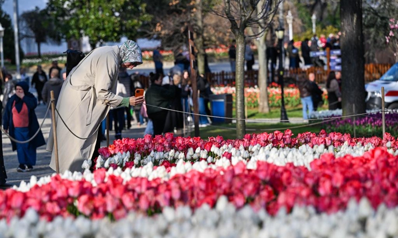 A tourist takes photos of tulips at Emirgan Park in Istanbul, Türkiye, on April 11, 2026. The annual Tulip Festival is held here in April. (Xinhua/Liu Lei)