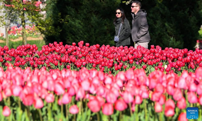 Tourists visit Emirgan Park in Istanbul, Türkiye, on April 11, 2026. The annual Tulip Festival is held here in April. (Xinhua/Liu Lei)