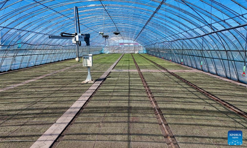 This photo taken on April 9, 2026 shows an interior view of a rice cultivating greenhouse of Youyi Farm Co., Ltd. under Beidahuang Group in Shuangyashan, northeast China's Heilongjiang Province. Heilongjiang, a major grain-producing area in China, has entered the spring ploughing season for rice. (Xinhua/Wang Song)