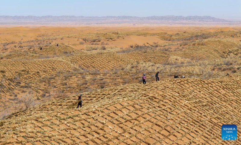 An aerial drone photo taken on April 10, 2026 shows workers paving straw checkerboard barriers on sand in the Tengger Desert, northwest China's Ningxia Hui Autonomous Region. Workers in Zhongwei City are upgrading desert barriers in the Tengger Desert by laying new straw checkerboard barriers to improve desert control efficiency. (Xinhua/Yang Zhisen)