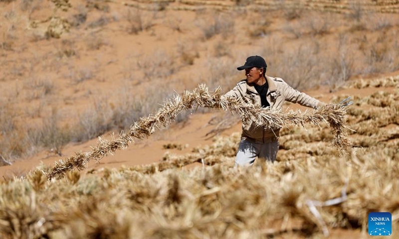 A worker paves straw checkerboard barriers on sand in the Tengger Desert, northwest China's Ningxia Hui Autonomous Region, April 10, 2026. Workers in Zhongwei City are upgrading desert barriers in the Tengger Desert by laying new straw checkerboard barriers to improve desert control efficiency. (Xinhua/Wang Peng)