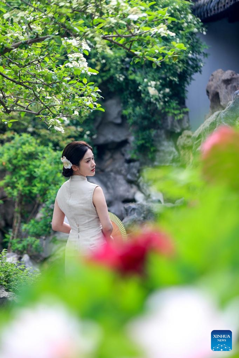 A woman poses for photos under a blossoming tree at Heyuan Garden in Yangzhou, east China's Jiangsu Province, April 11, 2026. (Photo by Qi Liguang/Xinhua)