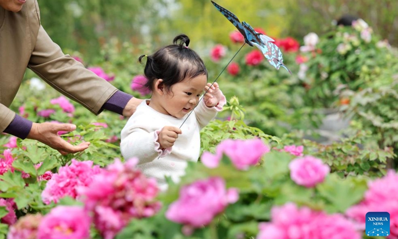 A kid has fun at a peony garden in Huai'an, east China's Jiangsu Province, April 11, 2026. (Photo by Yin Chao/Xinhua)