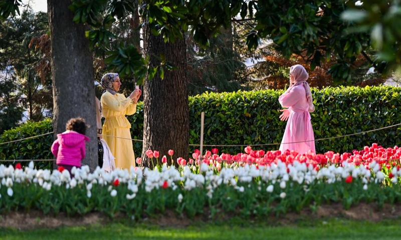 Tourists take photos at Emirgan Park in Istanbul, Türkiye, on April 11, 2026. The annual Tulip Festival is held here in April. (Xinhua/Liu Lei)
