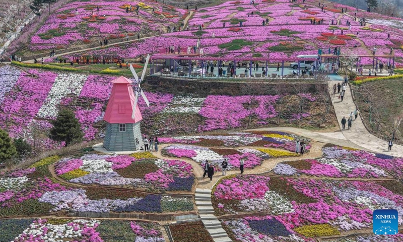An aerial drone photo taken on April 12, 2026 shows people admiring flowers at a scenic spot in Qianxi County, Tangshan City, north China's Hebei Province. (Photo by Liu Mancang/Xinhua)