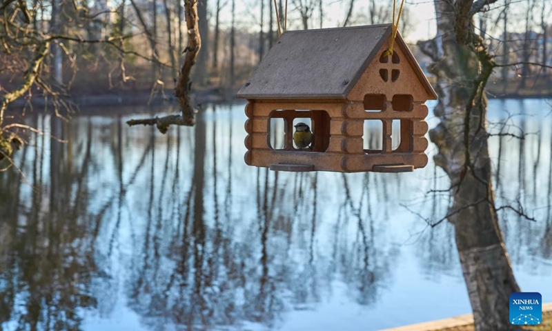 This photo taken on April 11, 2026 shows a view on Yelagin Island in St. Petersburg, Russia. Located in the northwest of St. Petersburg, Yelagin Island was once a royal garden and is now a famous tourist and leisure destination. (Photo by Guo Feizhou/Xinhua)