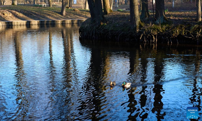 This photo taken on April 11, 2026 shows a view on Yelagin Island in St. Petersburg, Russia. Located in the northwest of St. Petersburg, Yelagin Island was once a royal garden and is now a famous tourist and leisure destination. (Photo by Guo Feizhou/Xinhua)