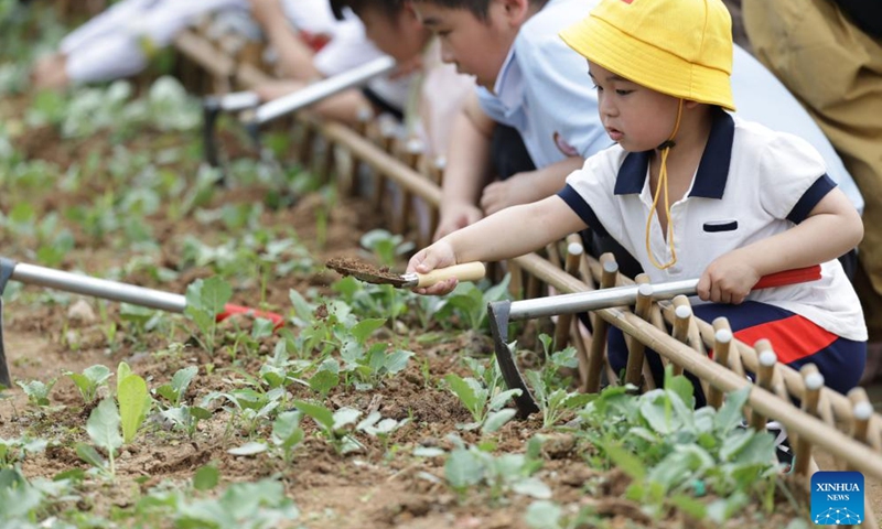 Children experience farm work in a vegetable garden in the Long Jiang Years tourist area in Zhangzhou City, southeast China's Fujian Province, on April 11, 2026.

