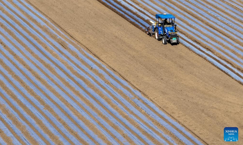 An aerial drone photo taken on April 10, 2026 shows an agricultural machine at work in peanut fields in Xinhezhuang Village of Xinle City, Shijiazhuang, north China's Hebei Province. (Photo by Zhang Xiaofeng/Xinhua)

