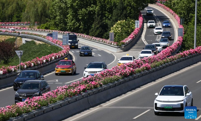 This photo taken on May 7, 2026 shows a road decorated with blooming Chinese roses in Beijing, capital of China. The Chinese roses, one of Beijing's city flowers, have entered their blooming season as early summer arrives in the city. (Xinhua/Ju Huanzong)

