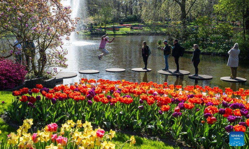 Photo taken on April 14, 2026 shows visitors near the blooming tulips at the Keukenhof park in Lisse, the Netherlands. The park is open to the public from March 19 to May 10 this year. (Photo by Monique Shaw/Xinhua)

