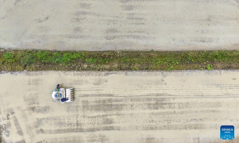 An aerial drone photo taken on May 7, 2026 shows farmers working in a field in Yuchi Town of Shizhu Tujia Autonomous County in Chongqing, southwest China. Yuchi Town, a typical agricultural town with an average altitude of 1,000 meters, has built more than 13,000 mu (866.67 hectares) of high-standard farmland in recent years, becoming the first batch of demonstration plots for high-standard farmland transformation in the city's alpine and hilly areas. The town's annual output of high-quality paddy rice exceeds 3,700 tons. (Xinhua/Tang Yi)