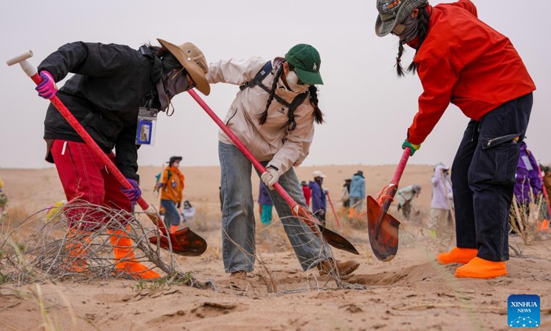 Volunteers from Hunan and Jiangxi provinces dig a pit for water storage at the Zhonglin ecological public welfare forest base of Minqin County, northwest China's Gansu Province, April 20, 2026.

