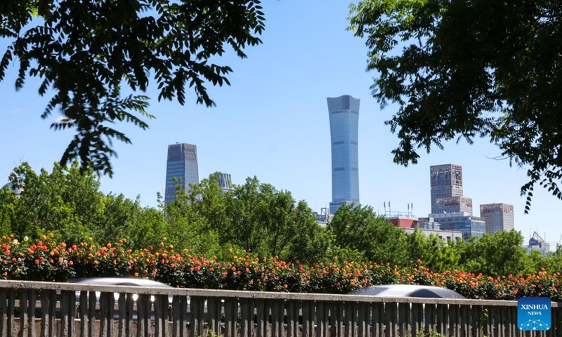 This photo taken on May 7, 2026 shows a road decorated with blooming Chinese roses in Beijing, capital of China. The Chinese roses, one of Beijing's city flowers, have entered their blooming season as early summer arrives in the city. (Xinhua/Ju Huanzong)


