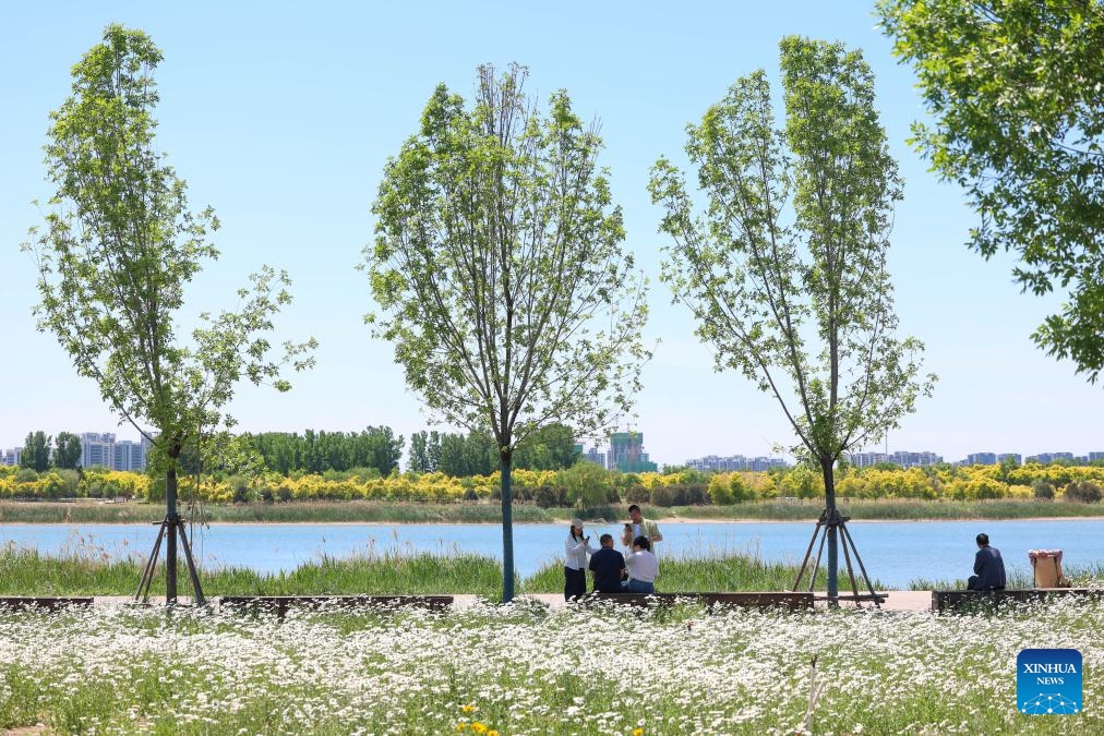 People enjoy their leisure time along the Hutuo River in Shijiazhuang, north China's Hebei Province, May 7, 2026. (Photo by Liang Zidong/Xinhua)