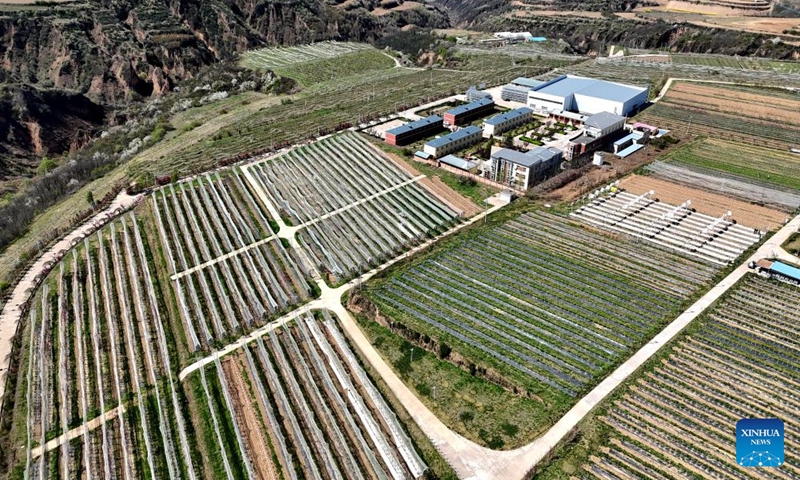 An aerial drone photo taken on April 10, 2026 shows an apple cultivation farm with agricultural technology support in Luochuan County, northwest China's Shaanxi Province.

