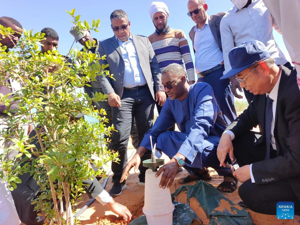 Zhao Shuhai (front, R) demonstrates a SHUBAO device at the China-Africa Green Technology Park in Mauritania, Dec. 16, 2025.(Xinhua)

