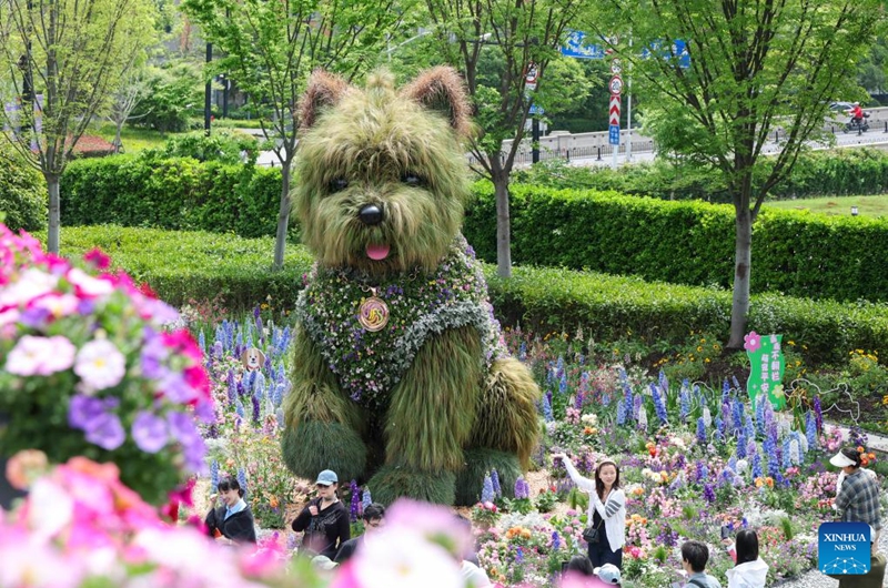 This photo taken on April 18, 2026 shows a floral installation in the shape of a puppy at a flower fair in Jing'an District of Shanghai, east China. The 2026 Shanghai International Flower Show opened on Saturday with events in two main venues, 10 sub-venues and multiple exhibition spots across the city. (Xinhua/Wang Xiang)