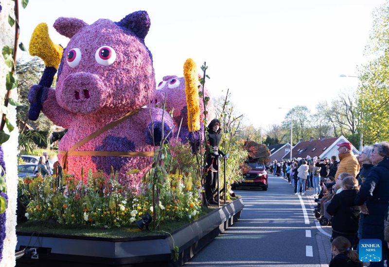 People watch floats during the Flower Parade of the Bollenstreek in Bennebroek, the Netherlands, April 18, 2026. (Photo by Sylvia Lederer/Xinhua)