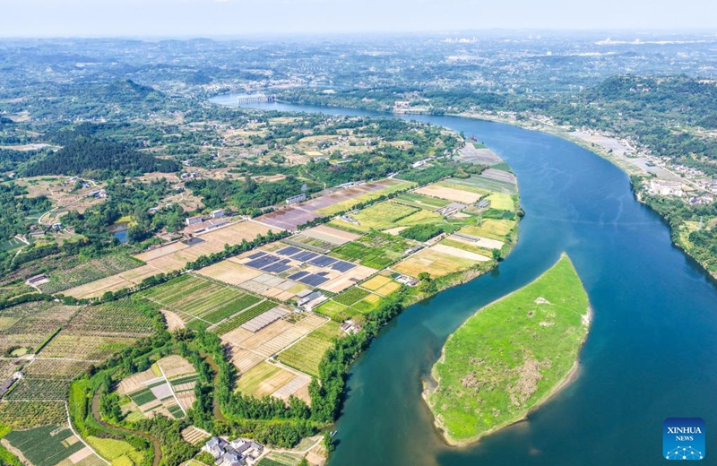 An aerial drone photo taken on April 18, 2026 shows a view of the fields of Weituo Town, Hechuan District, southwest China's Chongqing. The fields in Hechuan District of Chongqing are bustling with farming activity during the spring plowing season.

Hechuan, which serves as a key area for grain production and an important agricultural product protection zone in Chongqing, has seen its total grain output ranking the first in the city for 18 consecutive years. Photo: Xinhua