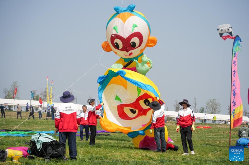 Fanciers fly kites at the 43rd Weifang International Kite Festival in Weifang, east China's Shandong Province, April 18, 2026. The festival kicked off here on Saturday. (Xinhua/Xu Suhui)